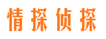 武川寻人公司